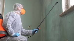 Best Mold Remediation for Healthcare Facilities  in Bethel Manor, VA